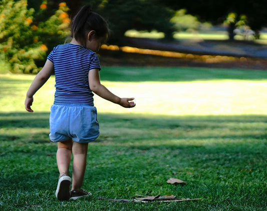 On the Move: Push & Pull Toys for Confident Little Walkers