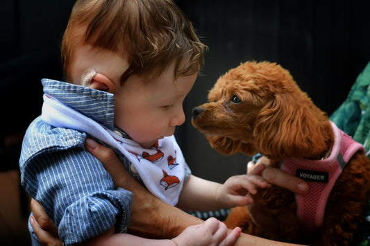 Why Plush Friends Matter: Comfort, Imagination & Social-Emotional Growth