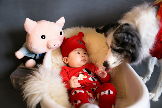 Favorite Loveys: Attachment, Sleep, and Care Tips