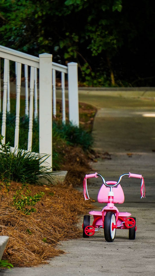 Toddler Tricycle Spotlight: The Bridge Between Balance Bike and Big-Kid Bike