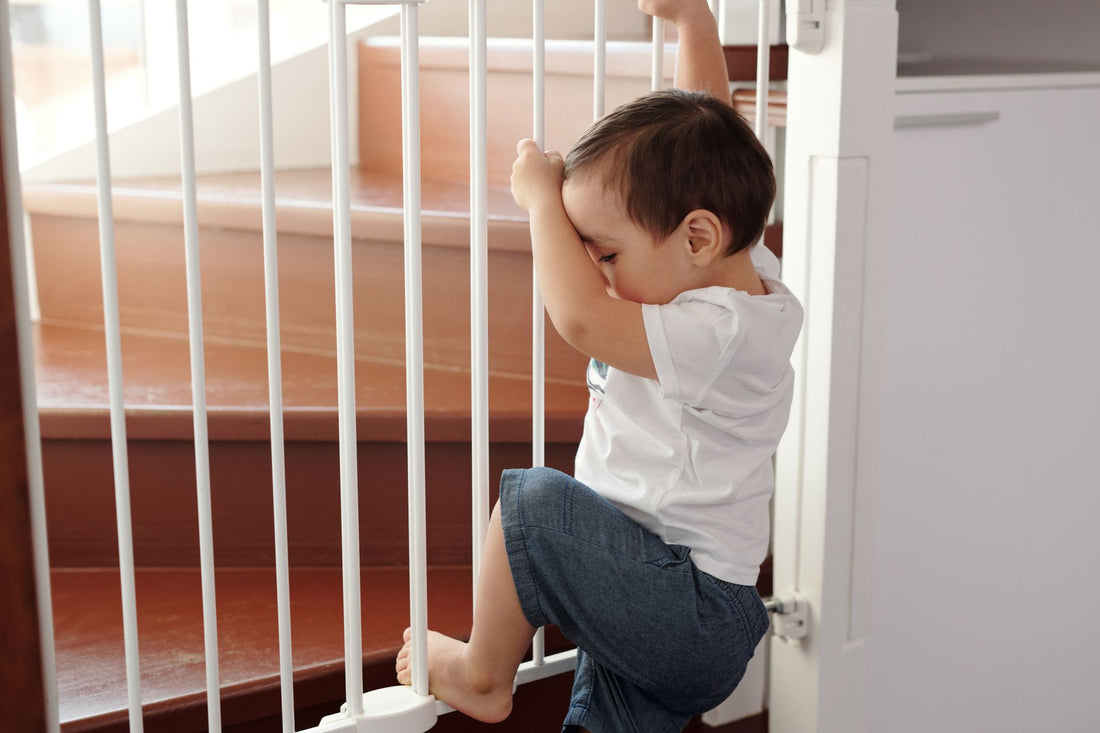 Baby Gate Buying Guide: Pressure-Mounted vs Hardware-Mounted