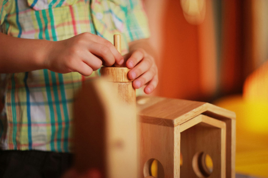 The Psychology Behind Educational Play