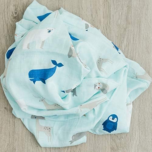 GRACED SOFT LUXURIES 2-Pack Swaddle Blanket Ultra Soft Luxury Decorative Muslin Swaddle Blankets