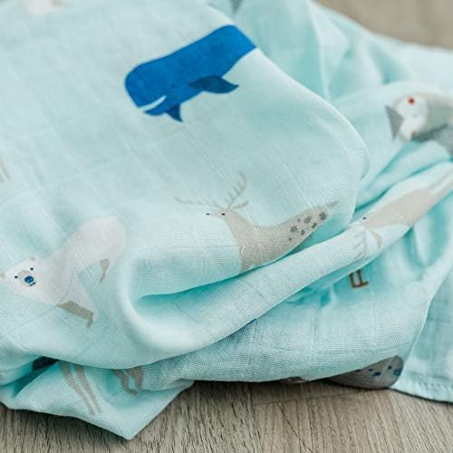 GRACED SOFT LUXURIES 2-Pack Swaddle Blanket Ultra Soft Luxury Decorative Muslin Swaddle Blankets
