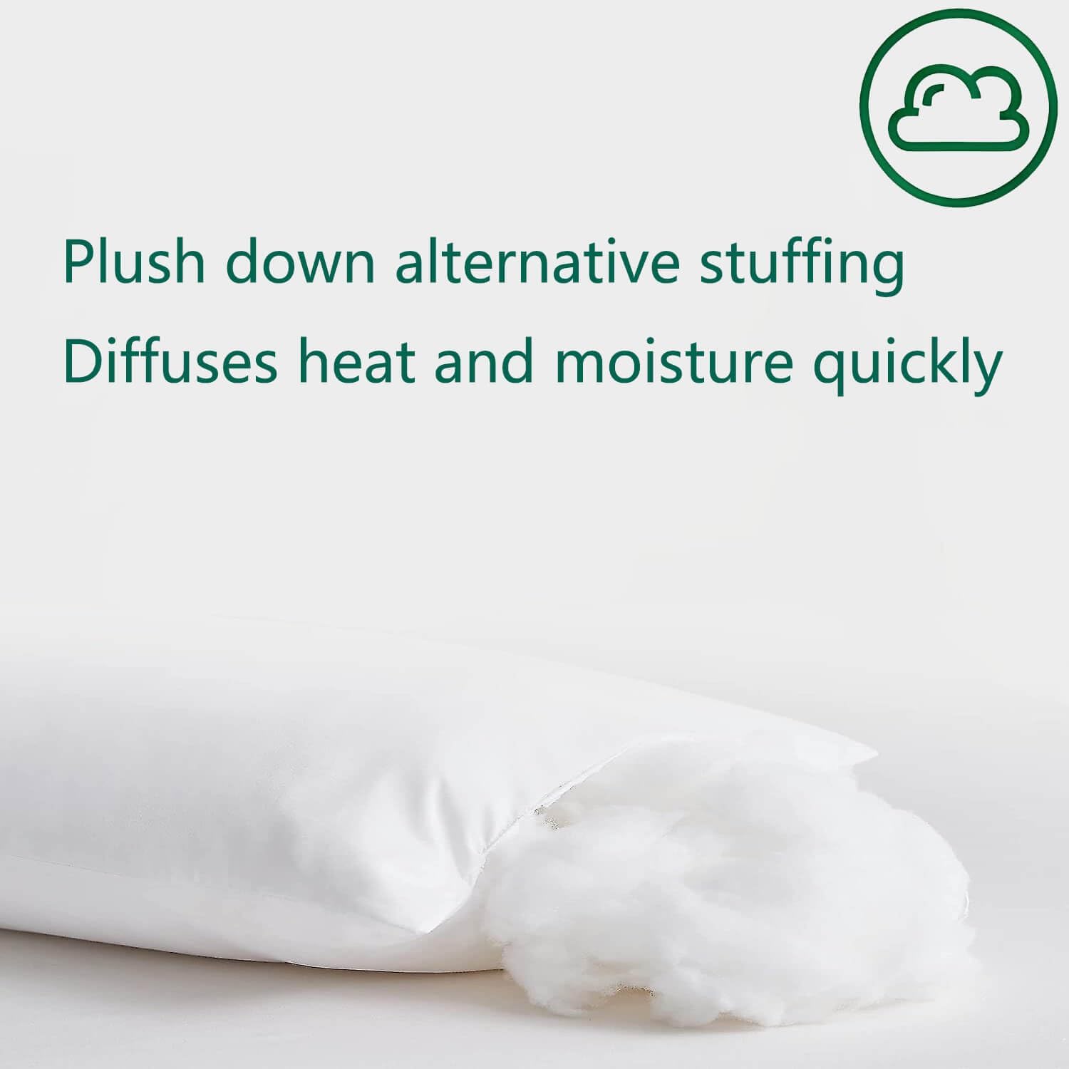 Squishy Flat Bed Pillows Queen Size Set of 2 Extra Soft Thin Pillow for Stomach Sleeping Adults