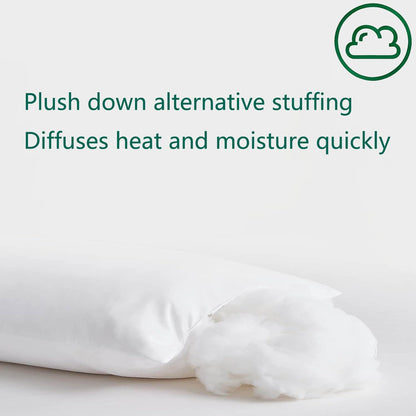 Squishy Flat Bed Pillows Queen Size Set of 2 Extra Soft Thin Pillow for Stomach Sleeping Adults