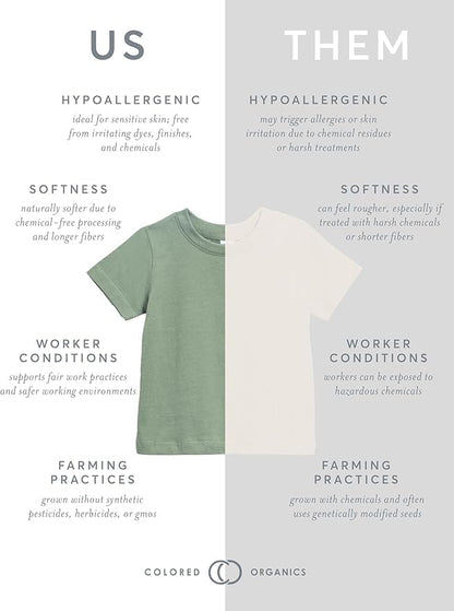 Colored Organics - Organic Cotton Toddler Short Sleeve Shirts - Baby Toddler and Kids Tops - Girls