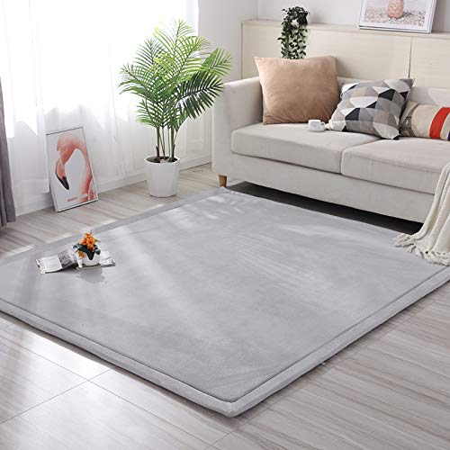 Loartee Nursery Rug Coral Velvet Crawling Rugs Mat Area Rugs Play Crawling Mat(6'8"x9'8", Gray) for