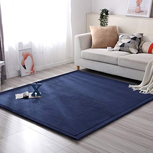 Loartee Nursery Rug - Coral Velvet Crawling Rugs & Area Rugs (6'8"x9'8", Dark Blue) for Toddler