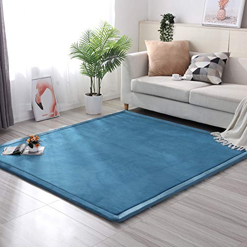 Loartee Coral Velvet Crawling Rug (6'8"x9'8", Blue) for Toddler Children Play Area Rugs Yoga Mat