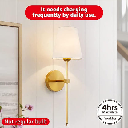 BLUEYE Rechargeable Battery Operated Light Bulb,2Packs,300LM,40W Equivalent,E26 Detachable
