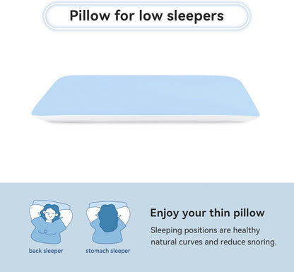 AM AEROMAX 2.75 Inches Queen Size Hyper Slim Memory Foam Pillow for Stomach and Back Sleepers