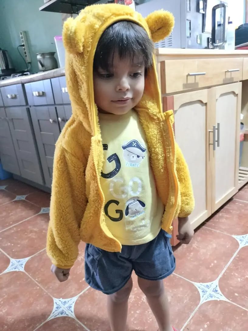 AIWUHE Toddler Boys Girls Hooded Jacket Fleece Hoodie Winter Warm Solid Color Teddy Coat Zip-up