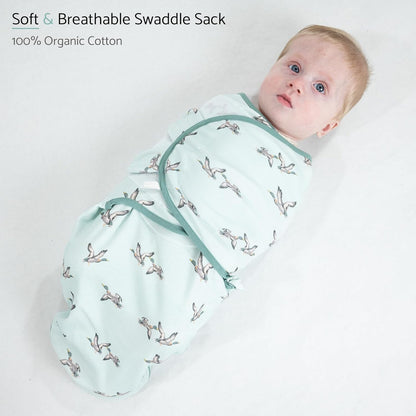 LollyBanks Baby Swaddles, 100% Organic Cotton Swaddle for Newborns Boys and Girls, 3-6 Months