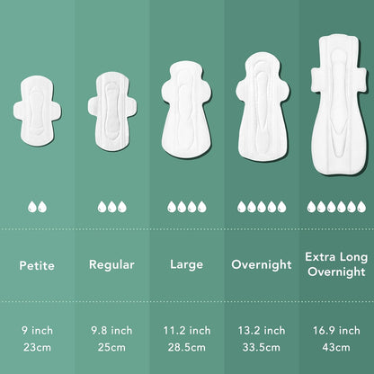 Rael Organic Cotton Cover Pads - Regular Absorbency, Unscented, Ultra Thin Pads with Wings for