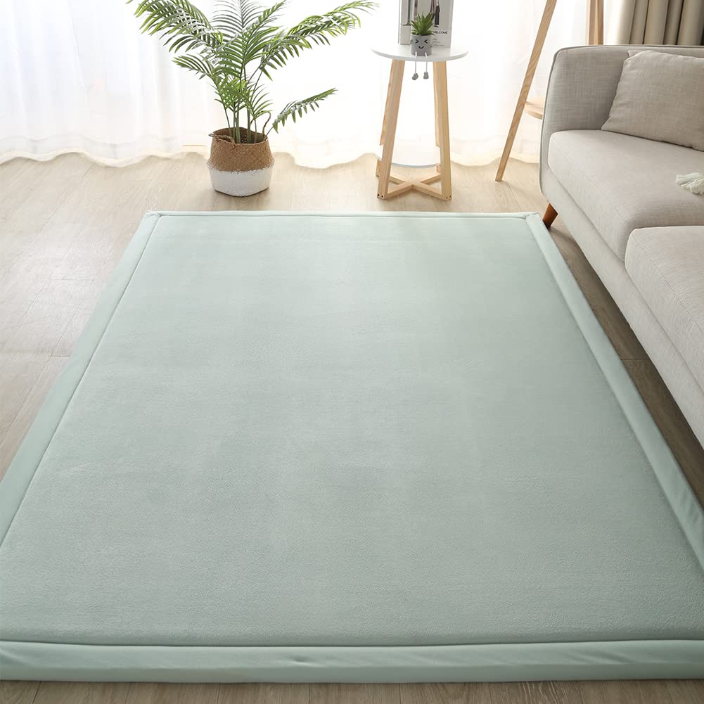 Loartee Nursery Rug Coral Velvet Crawling Rugs Mat Area Rugs Play Crawling Mat(5'11"x6'7", Light