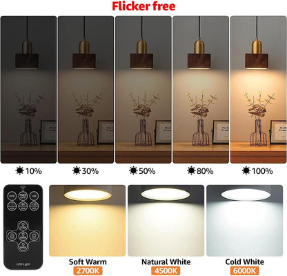 BLUEYE Rechargeable Battery Operated Light Bulb,2Packs,300LM,40W Equivalent,E26 Detachable