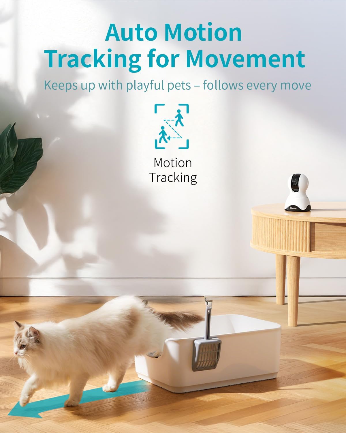 VIMTAG 2.5K Indoor Cameras for Home Security 2-Pack – Pet, Dog, Cat & Baby Monitor with Phone App