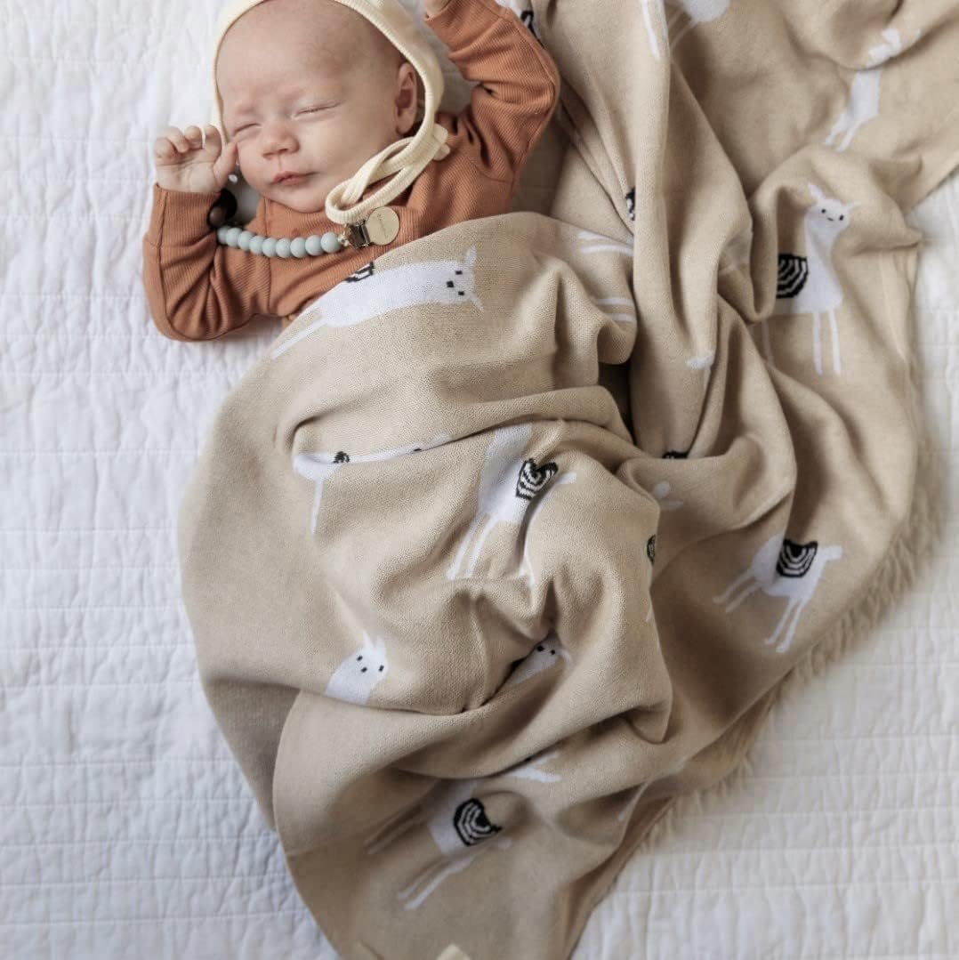 Baby Receiving Swaddle Stroller Blanket - 100% Fine Loomed Cotton Cozy Cuddle Crib Stroller Unisex