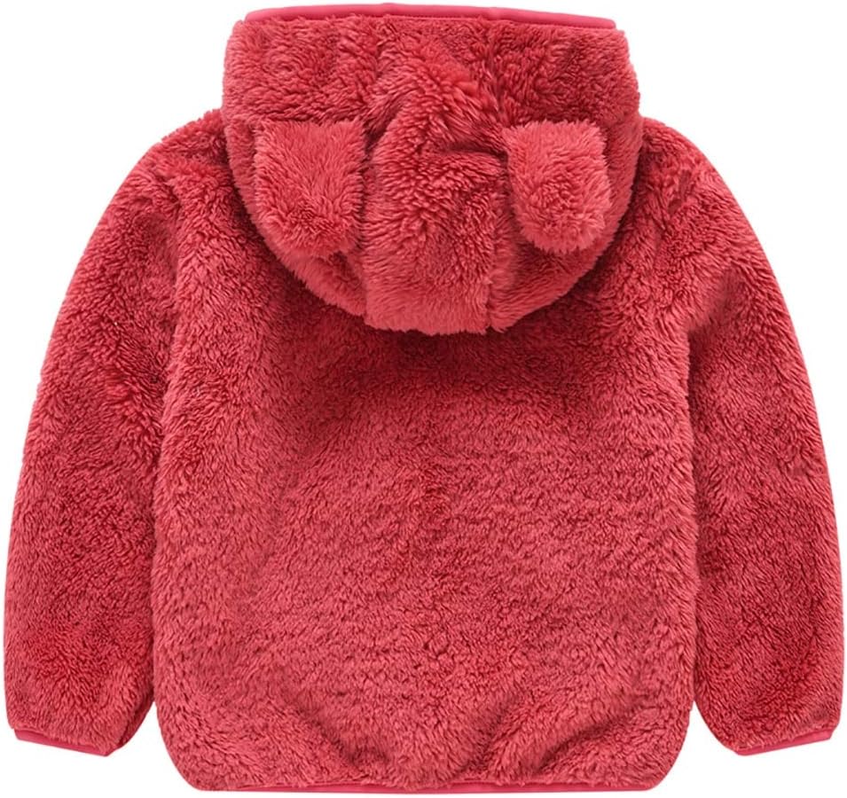 AIWUHE Toddler Boys Girls Hooded Jacket Fleece Hoodie Winter Warm Solid Color Teddy Coat Zip-up