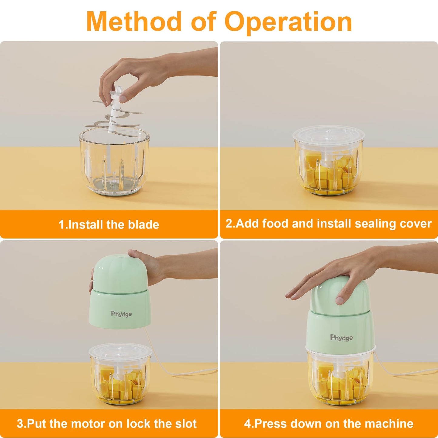 Phydge Baby Food Maker for Baby Puree Foods Fruit Vegetable Meat
