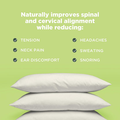 Bean Products Kapok 14" x 20" Japanese Pillow - Breathable, Eco-Friendly and Durable Organic Cotton