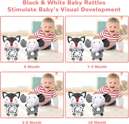 Baby Rattles 0-6 Months Newborn Toys Baby Toys 0-6 Months Rattles for Babies 0-6 Months Infant Toys