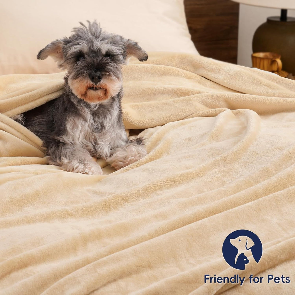 PHF Ultra Soft Fleece Blanket Queen Size, No Shed No Pilling Luxury Plush Cozy 300GSM Lightweight