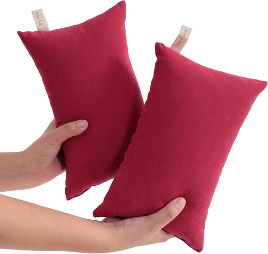 NTBAY Tiny Pillows, Down Alternative 7"x11" Microfiber Mini Pillow for Travel, Pets, Soft Machine