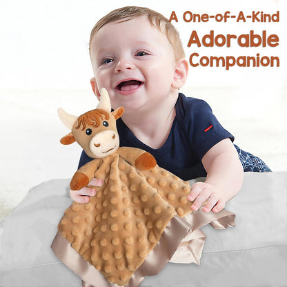 Loveys for Babies, Soft Baby Security Blanket Lovies for Babies, Stuffed Animals Blankie for