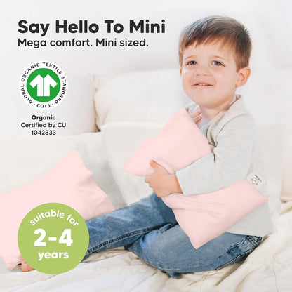 Mini Toddler Pillow with Pillowcase - 9x13 My Little Dreamy Travel Kids Pillow for Sleeping