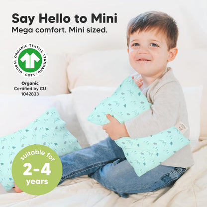 Mini Toddler Pillow with Pillowcase - 9x13 My Little Dreamy Travel Kids Pillow for Sleeping
