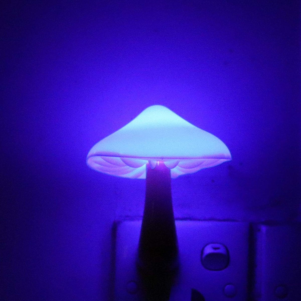AUSAYE Blue Led Lamp Mushroom Nigh Light,Plug in Nightlight,Sensor Night Lights for Kids Adults