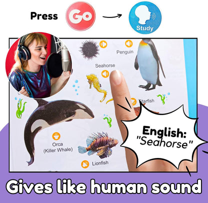 ZeenKind English Learning Talking Book for Kids 2 3 4 5 6 Years Old, 300+ Words Interactive Audio