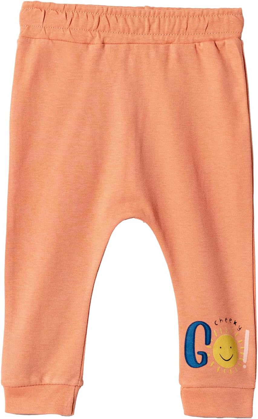 Toddler and Baby Unisex Pants 2-Pack -Baby Pants 0-3 Months to 18-24 Months Baby Cotton Sweatpants