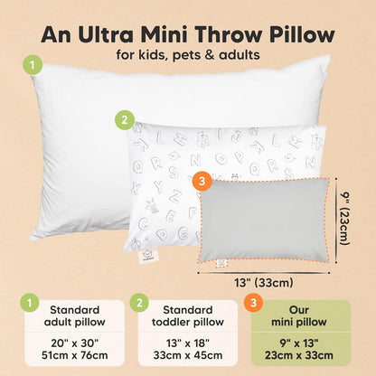 Mini Toddler Pillow with Pillowcase - 9x13 My Little Dreamy Travel Kids Pillow for Sleeping