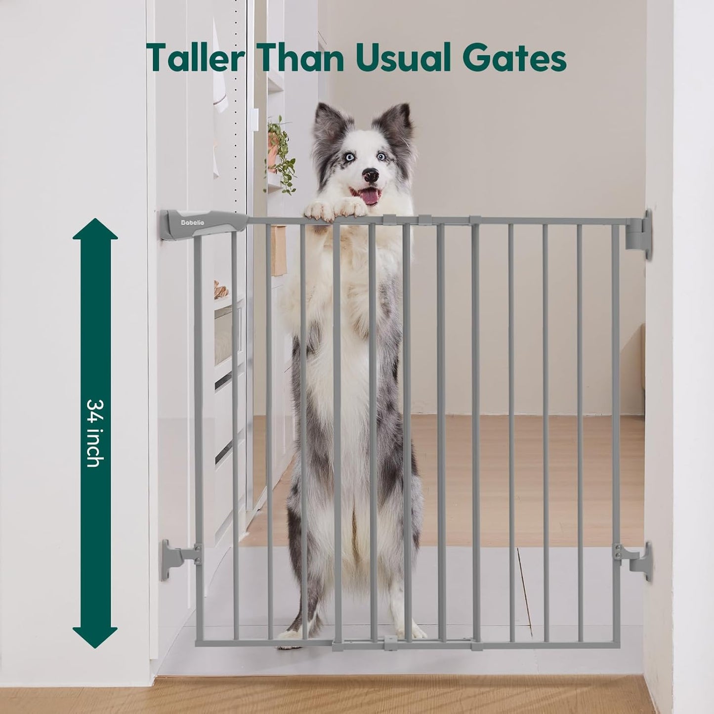 Babelio 34" Extra Tall Baby/Dog Gate with No Threshold Design Walk Thru Door, 26-43" Auto Close