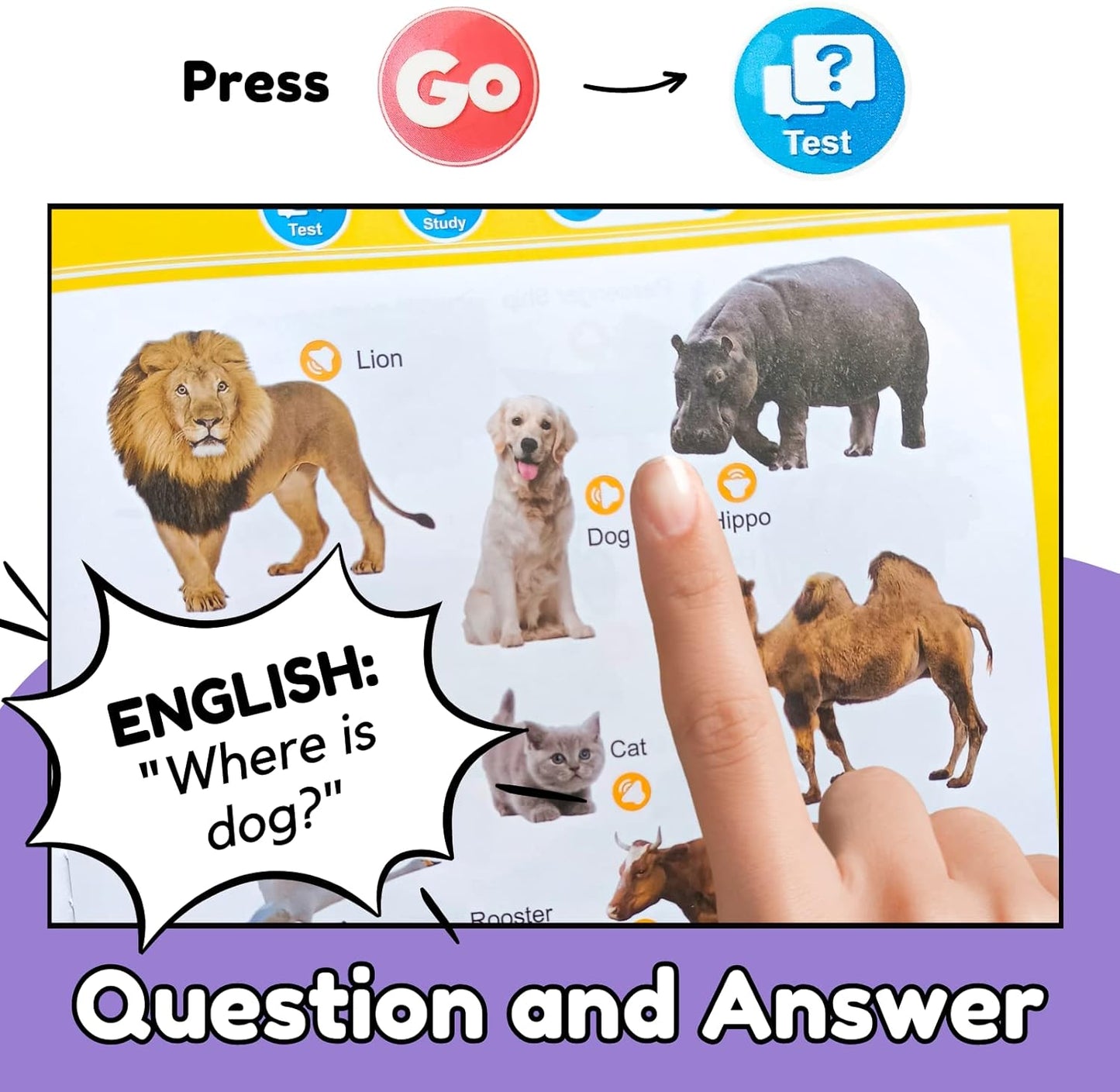 ZeenKind English Learning Talking Book for Kids 2 3 4 5 6 Years Old, 300+ Words Interactive Audio