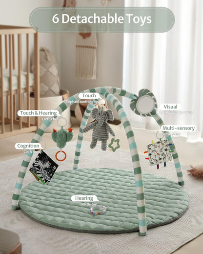Blissful Diary Baby Play Gym Mat, Tummy Time Mat with 6 Detachable Toys for Stage-Based Sensory &