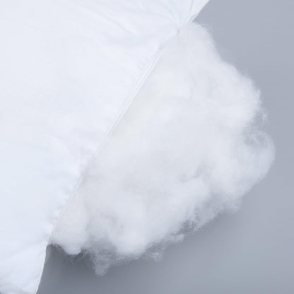 NTBAY 2 Pack Pillows with Microfiber Pillowcases, Soft Cotton Down Alternative 13x18 Zippered