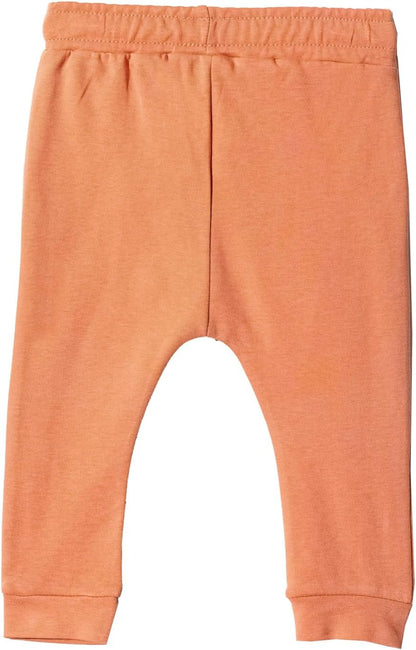 Toddler and Baby Unisex Pants 2-Pack -Baby Pants 0-3 Months to 18-24 Months Baby Cotton Sweatpants