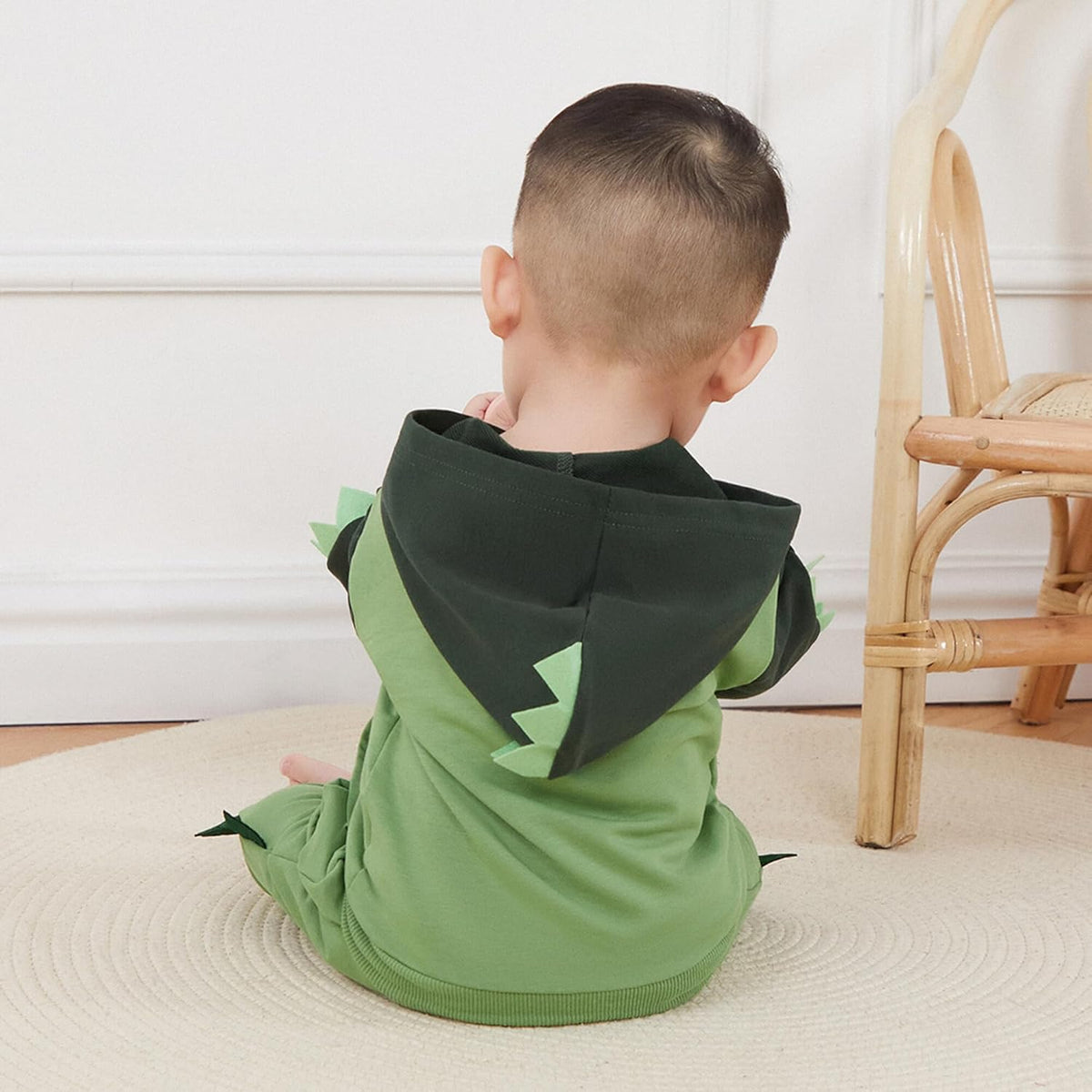Baby Boy Clothes Toddler Fall Winter Outfits Dinosaur Long Sleeve Hoodies Tops & Jogger Pants