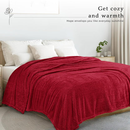 Exclusivo Mezcla King Size Flannel Fleece Blanket, Super Soft Velvet Plush Bed Blanket, Fuzzy Cozy