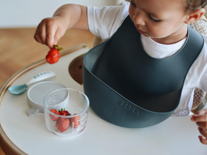 BEABA Silicone Baby Bib, Made with Soft Supple Silicone, Baby Bibs with Baby Food Catcher, Baby