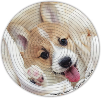 Spin Flip Puzzle - Puppies & Kittens - Spin it, Flip it, solve it! for Those who love brain