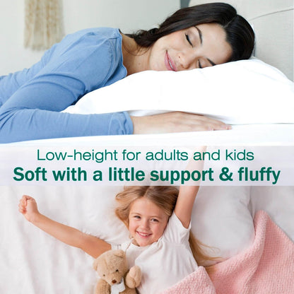 Squishy Flat Bed Pillows Queen Size Set of 2 Extra Soft Thin Pillow for Stomach Sleeping Adults