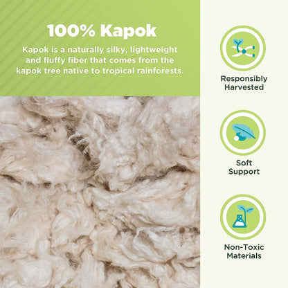 Bean Products Travel/Toddler Organic Kapok Pillow + Natural Org Case - 13" x 18" - Organic Cotton