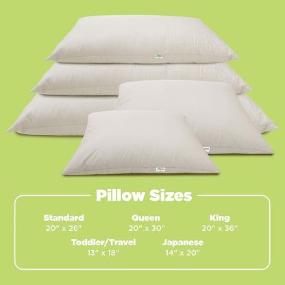 Bean Products Standard Organic Kapok Pillow + Natural Org Case - 20" x 26" - Organic Cotton