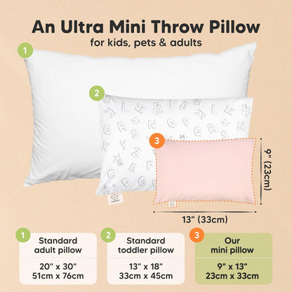 Mini Toddler Pillow with Pillowcase - 9x13 My Little Dreamy Travel Kids Pillow for Sleeping