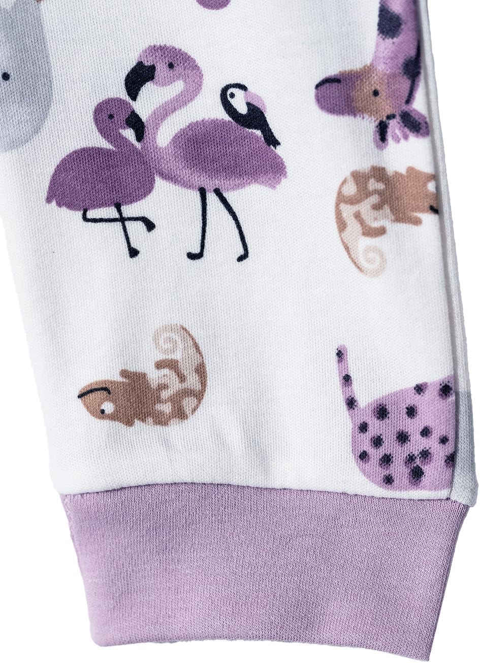 Toddler and Baby Unisex Pants 2-Pack -Baby Pants 0-3 Months to 18-24 Months Baby Cotton Sweatpants